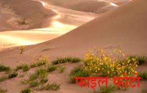 रेत खदान में काम कर रहे तीन मजदूरों की टीला धंसने से हुई मौत