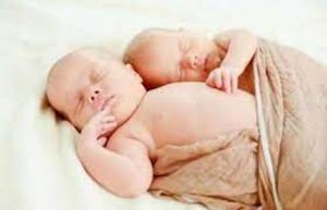  दुनियाभर में जुड़वा बच्चों की तादाद में तेजी से हुई वृद्धि, हर साल पैदा हो रहे 16 लाख जुड़वा बच्चे