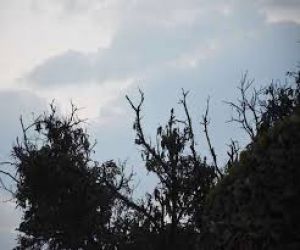  अगले दो दिनों में हल्की बारिश की संभावना