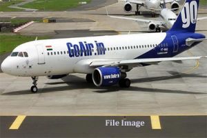  जेह वाडिया गो एयर के प्रबंध निदेशक पद से हटे