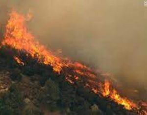 भुट्टा पका रहे थे बच्चे, पुआल से भड़की आग में घिरे, 6 की मौत