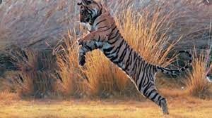  बाघ के हमले में 15 साल की बालिका की मौत