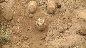  तीन बारूदी सुरंग नष्ट की गई