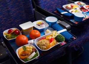 दो घंटे से कम अवधि वाली उड़ानों में भोजन दिए जाने पर प्रतिबंध