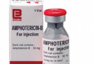  सरकार ने एंफोटेरिसिन-बी की अतिरिक्त 29,250 शीशियां राज्यों, केंद्र शासित प्रदेशों को आवंटित कीं