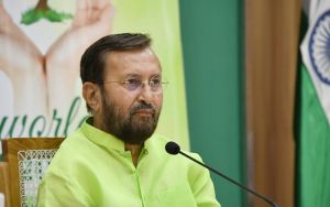   भारत में वन और वृक्ष क्षेत्र बढ़कर 8 लाख वर्ग किलोमीटर से अधिक हुआ-प्रकाश जावड़ेकर