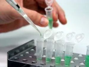  अपशिष्ट जल में कोविड-19 का पता लगाने के लिये सेंसर विकसित किया गया