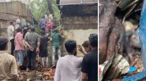  तेज हवाओं से एक पुराना पेड़ गिरा, दो लोगों की दबकर मौत