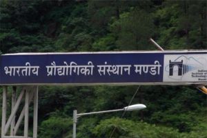  अधिक मीठा खाने से क्यों होती है फैटी लीवर बीमारी : शोधार्थियों ने पता लगाया