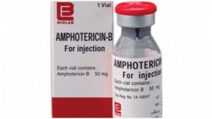  राज्यों को एम्फोटेरिसिन-बी की 6.67 लाख शीशियां आवंटित, उपलब्धता बढ़ाने के लिए उठा रहे कदम : सरकार