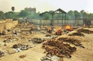  कोविड-19 से मरे लोगों की भस्म से भदभदा विश्राम घाट में विकसित किया जाएगा पार्क