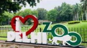  दिल्ली का चिडिय़ाघर पर्यटकों के लिए फिर से खुला