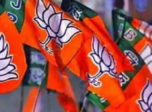  भाजपा ने नागेंद्र को बिहार, झारखंड का क्षेत्रीय संगठन महामंत्री नियुक्त किया