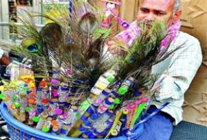 कान्हा की वंशी की मधुर गूंज से गूंजेगा ब्रज, वास्तु दोष भी मिटाती है बांसुरी