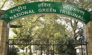  एनजीटी ने एचएसआईआईडीसी से औद्योगिक कचरे का वैज्ञानिक तरीके से निपटारा करने को कहा