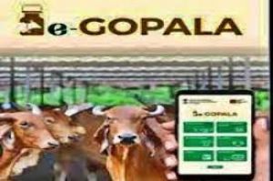 डेयरी किसानों की सहायता के लिए ई-गोपाला ऐप का वेब संस्करण शुरू