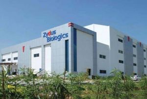  जायडस कैडिला को मधुमेह की दवा के लिए यूएसएफडीए से मंजूरी मिली