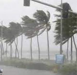 चक्रवात गुलाब का पश्चिमी राज्यों पर प्रभाव विरल घटना है : आईएमडी