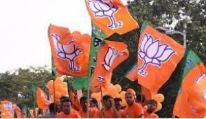   गुजरात के स्थानीय निकाय चुनाव में भाजपा ने बड़ी जीत दर्ज की