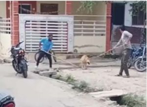  कुत्ते को लाठियों से पीट-पीटकर मारा...! 2 सफाई कर्मचारियों के खिलाफ मामला दर्ज, नौकरी से निलंबित