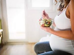 पिछले साल अक्टूबर-नवंबर में केवल 60 % गर्भवती महिलाएं तीन वक्त का खाना खा सकती थीं : अध्ययन