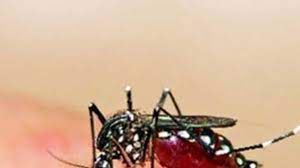  कानपुर में मिला जीका वायरस से संक्रमित पहला रोगी