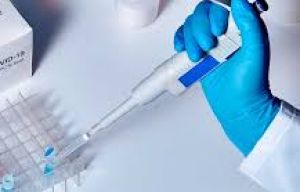 असम आने वाले 10 साल से कम उम्र के बच्चों को नहीं करानी होगी कोविड-19 की जांच असम आने वाले 10 साल से कम उम्र के बच्चों को नहीं करानी होगी कोविड-19 की जांच