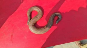  दुर्लभ प्रजाति का सांप  बरामद, आरोपी तस्कर गिरफ्तार