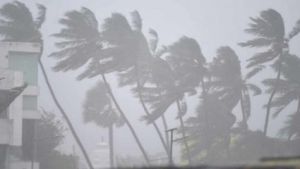 देश में इस साल नवंबर में पांच वर्षों में सर्वाधिक बारिश हुई : मौसम विभाग देश में इस साल नवंबर में पांच वर्षों में सर्वाधिक बारिश हुई : मौसम विभाग