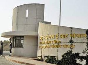 पहली बार, आईआईएसईआर भोपाल के शोधकर्ताओं ने हल्दी के जीनोम का पता लगाया