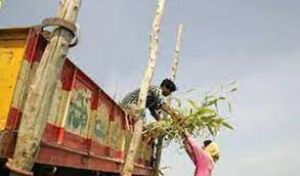 शीघ्र स्थापित होंगी इथेनॉल की पांच और डिस्टिलरी