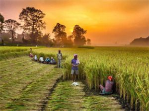 एफपीओ को मजबूत बनाने के लिए 137 करोड़ रुपये की कार्ययोजना मंजूर