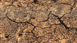उत्तराखंड के पिथौरागढ़ में 4.1 तीव्रता का भूकंप का झटका