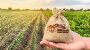 बजट में कृषि ऋण के लक्ष्य को बढ़ाकर 18 लाख करोड़ रुपये कर सकती है सरकार