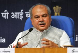 केंद्र, राज्य मिलकर 2022 तक किसानों की आय दोगुना करने का लक्ष्य पूरा करने में जुटे हैं: तोमर