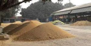 सरकार की धान खरीद 2021-22 में अबतक 532.86 लाख टन पर