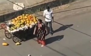 ठेले से फल सड़क पर फेंकती महिला का वीडियो सोशल मीडिया पर वायरल