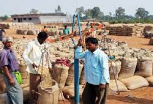 सरकार की धान खरीद 2021-22 के सत्र में 606.19 लाख टन तक पहुंची