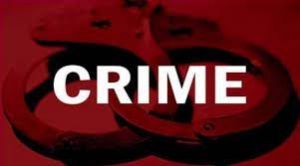 20 लाख रुपए से अधिक मूल्य की खैर की लकड़ी बरामद, दो आरोपी गिरफ्तार