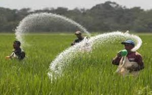 छत्तीसगढ़ को केंद्र ने अभी तक 4.36 लाख टन उर्वरक दी
