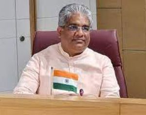 साल 2020-21 में करीब 31 लाख पेड़ काटे गए: सरकार