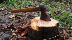  पढ़ाई को लेकर डांट पडऩे के डर से किशोर ने की अपने पिता की हत्या...!