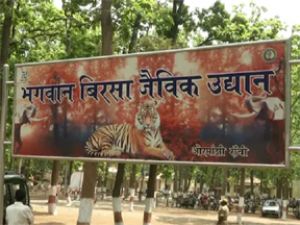 चिड़ियाघर में कैनाइन डिस्टेंपर वायरस से सभी सात लोमड़ियों की मौत