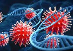 कोरोना का प्रसार रोकने के लिए पहले ही कार्रवाई करें: केन्द्र ने चार राज्यों और दिल्ली से कहा