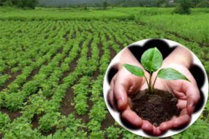 प्राकृतिक खेती को बढ़ावा देने के लिए राज्यों का केंद्र से सक्रिय कदम उठाने का आग्रह प्राकृतिक खेती को बढ़ावा देने के लिए राज्यों का केंद्र से सक्रिय कदम उठाने का आग्रह