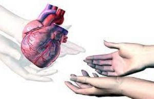 एम्स में माता-पिता ने दिमागी रूप से मृत बेटी के अंग दान किये