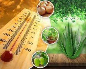 राजस्थान में भीषण गर्मी और लू का दौर जारी, बांसवाडा का तापमान 46.5 डिग्री सेल्सियस दर्ज किया गया राजस्थान में भीषण गर्मी और लू का दौर जारी, बांसवाडा का तापमान 46.5 डिग्री सेल्सियस दर्ज किया गया