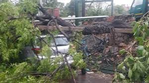 दिल्ली में भीषण तूफान, दो लोगों की मौत, सैकड़ों पेड़ उखड़े