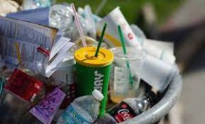   एकल उपयोग वाली प्लास्टिक की वस्तुओं पर प्रतिबंध के उल्लंघन पर एक लाख रुपये तक का जुर्माना या जेल की सजा: राय