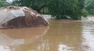 मूसलाधार बारिश, महानदी में बाढ़ के आसार मूसलाधार बारिश, महानदी में बाढ़ के आसार